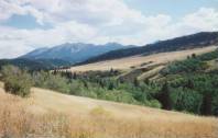 The Lamar Valley
